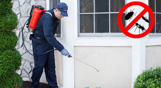 Koyundere Hamam Böceği İlaçlama böcek ilaçlama ve haşere kontrolü — ilaclama-tr.com